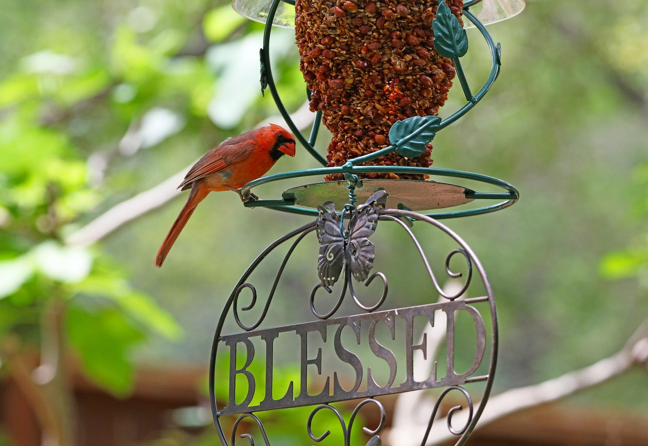 Add beauty to your home or business by creating your own sign