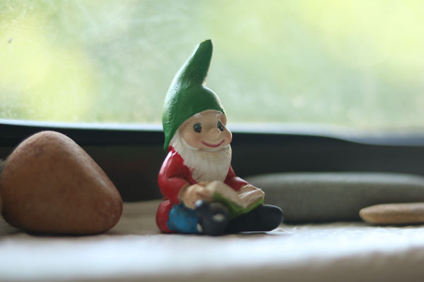 Gnome figurine reading a book