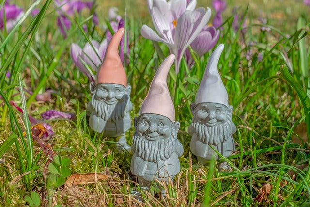 Spring garden gnomes