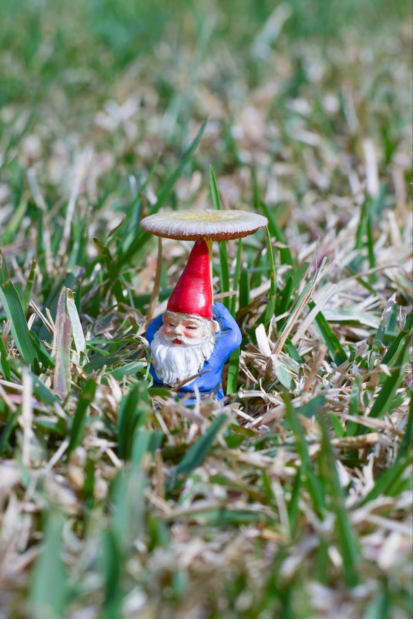 Outdoor garden gnome figurine 