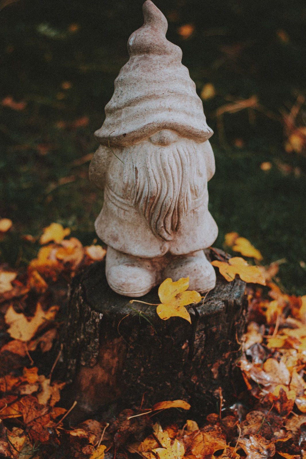 Outdoor gnome figurine