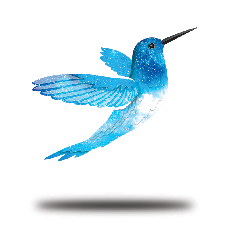 Hummingbird - UV Print