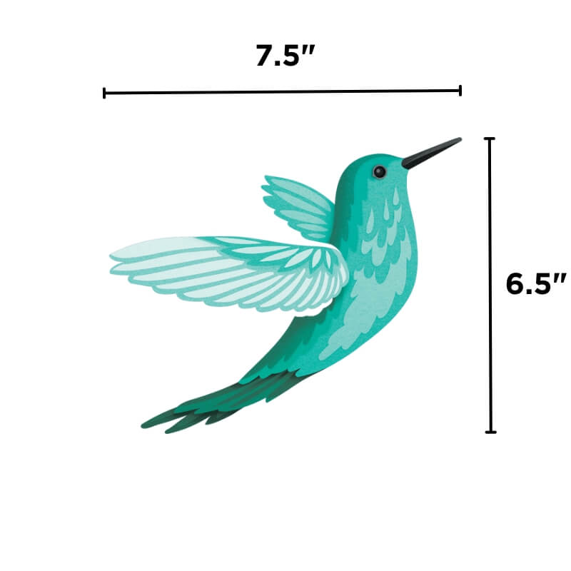 Hummingbird Lifestyle- UV Print