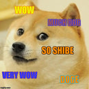 Dogecoin to the Moon