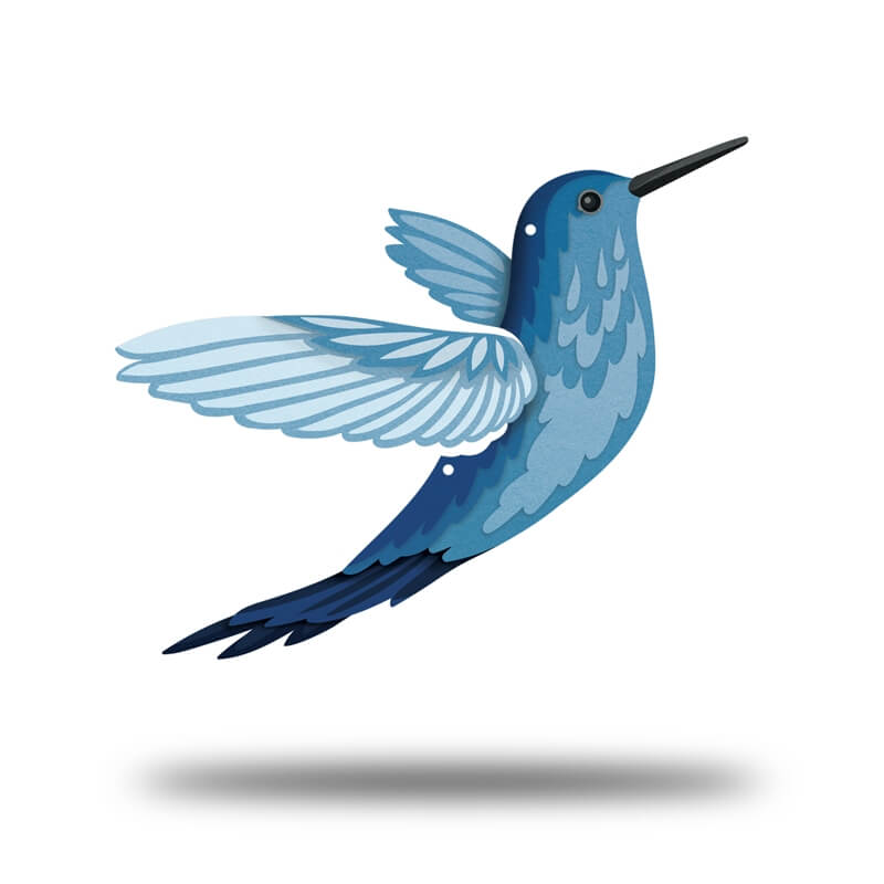 Hummingbird Lifestyle- UV Print
