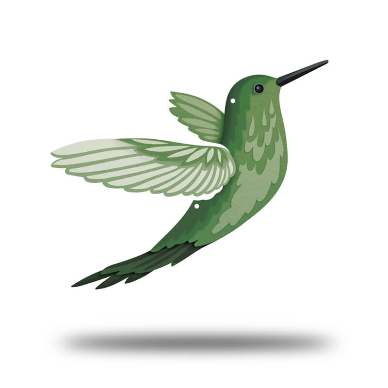 Hummingbird Lifestyle- UV Print