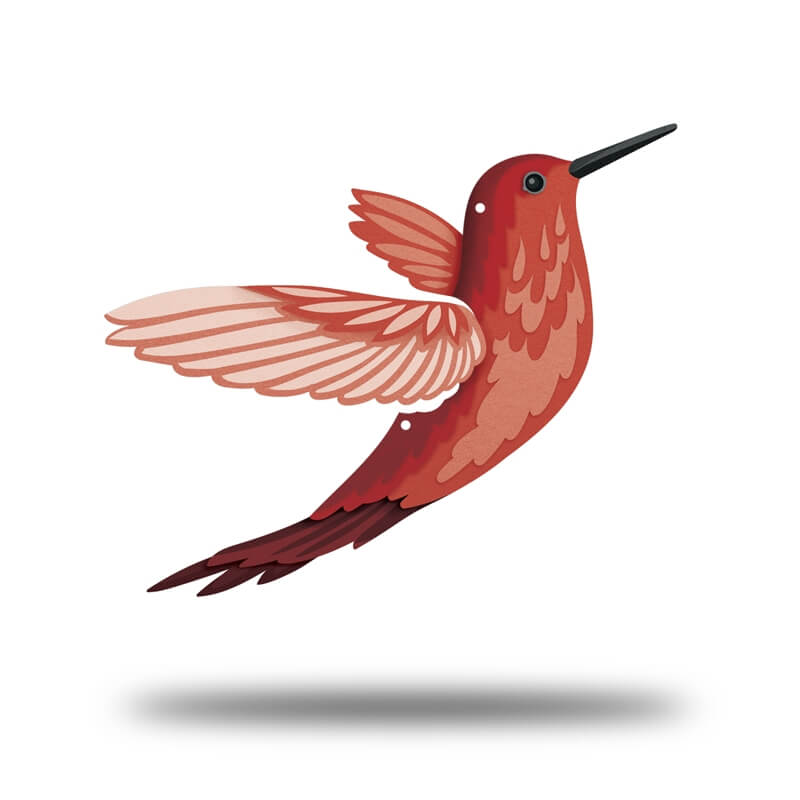 Hummingbird Lifestyle- UV Print