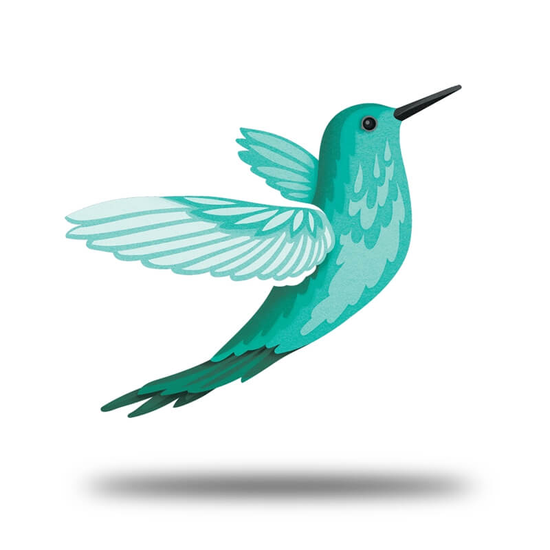 Hummingbird Lifestyle- UV Print