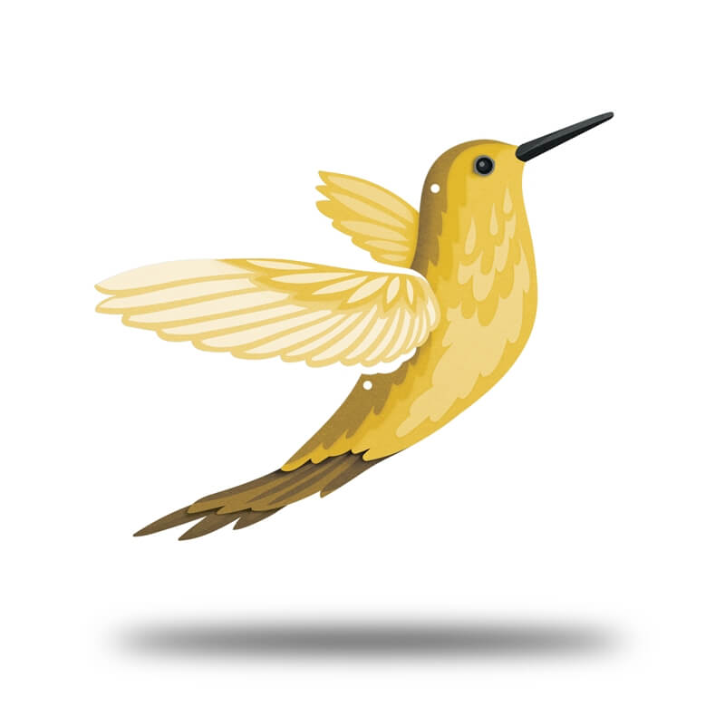 Hummingbird Lifestyle- UV Print