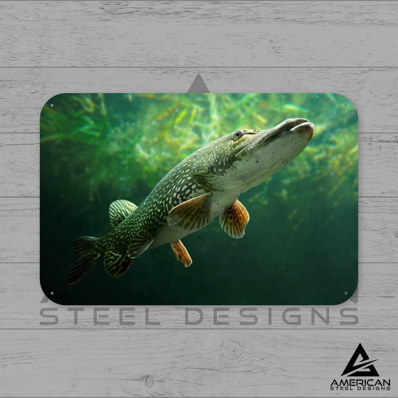 Pike Steel Print