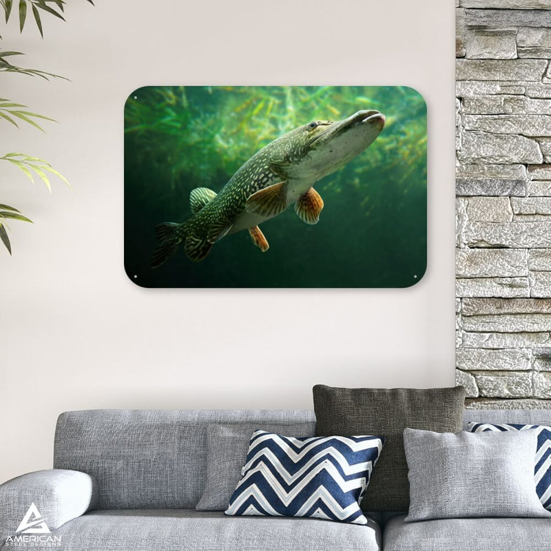 Pike Steel Print