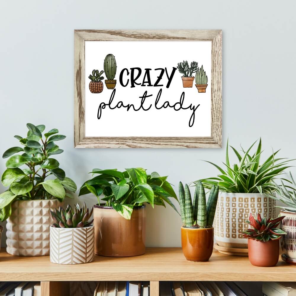 Crazy Plant Lady Steel Print